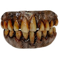 Terrifier - Art the Clown Teeth product image 1, provided for visual reference and product detail review