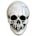 Nightowl Skull - White product image 1, provided for visual reference and product detail review