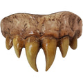Bitemares Horror Teeth - Vampire Master product image 1, provided for visual reference and product detail review