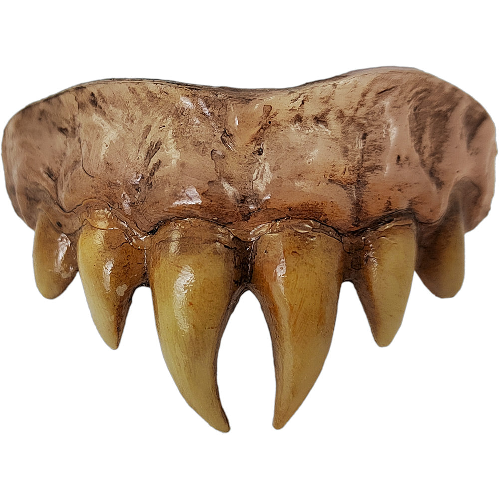 Bitemares Horror Teeth - Vampire Master product image 1, provided for visual reference and product detail review