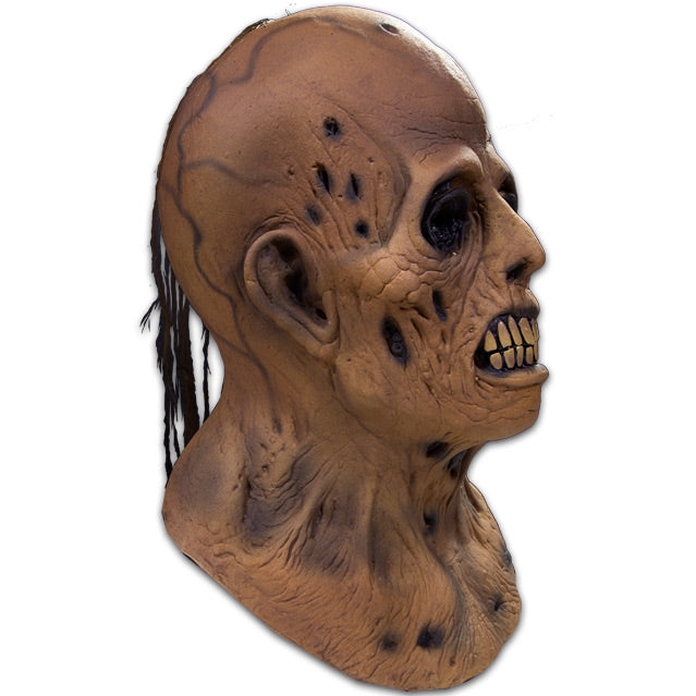 EC Comics Collection Haunt of Fear Graham Ingels Zombie Mask product image 2, provided for visual reference and product