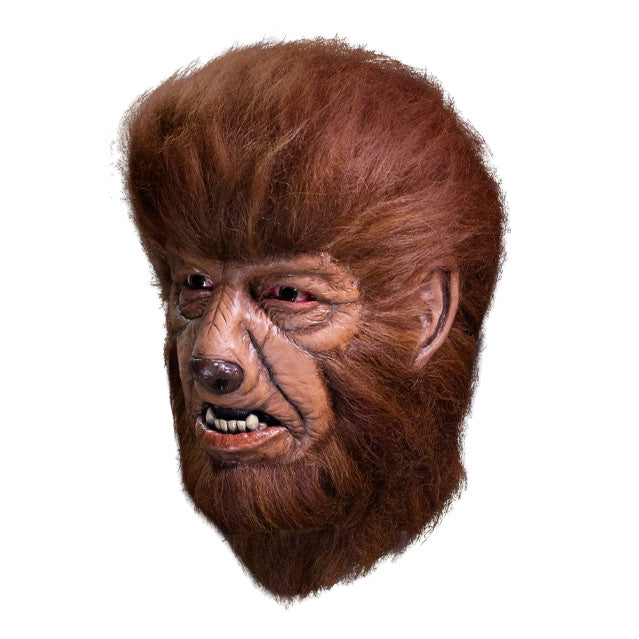 Chaney Entertainment - The Wolf Man Mask product image 2, provided for visual reference and product detail review