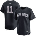 Anthony Volpe New York Yankees Alternate Road Limited product image 1