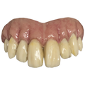 Bitemares Horror Teeth - Goofy Teeth product image 1, provided for visual reference and product detail review