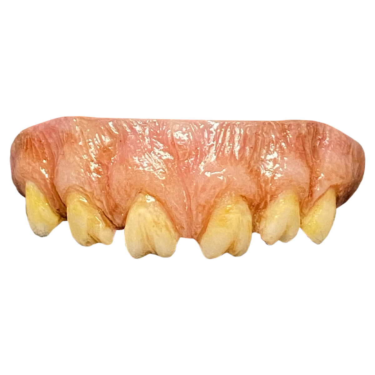 The Texas Chainsaw Massacre (1974) - Leatherface Teeth product image 1, provided for visual reference and product detail