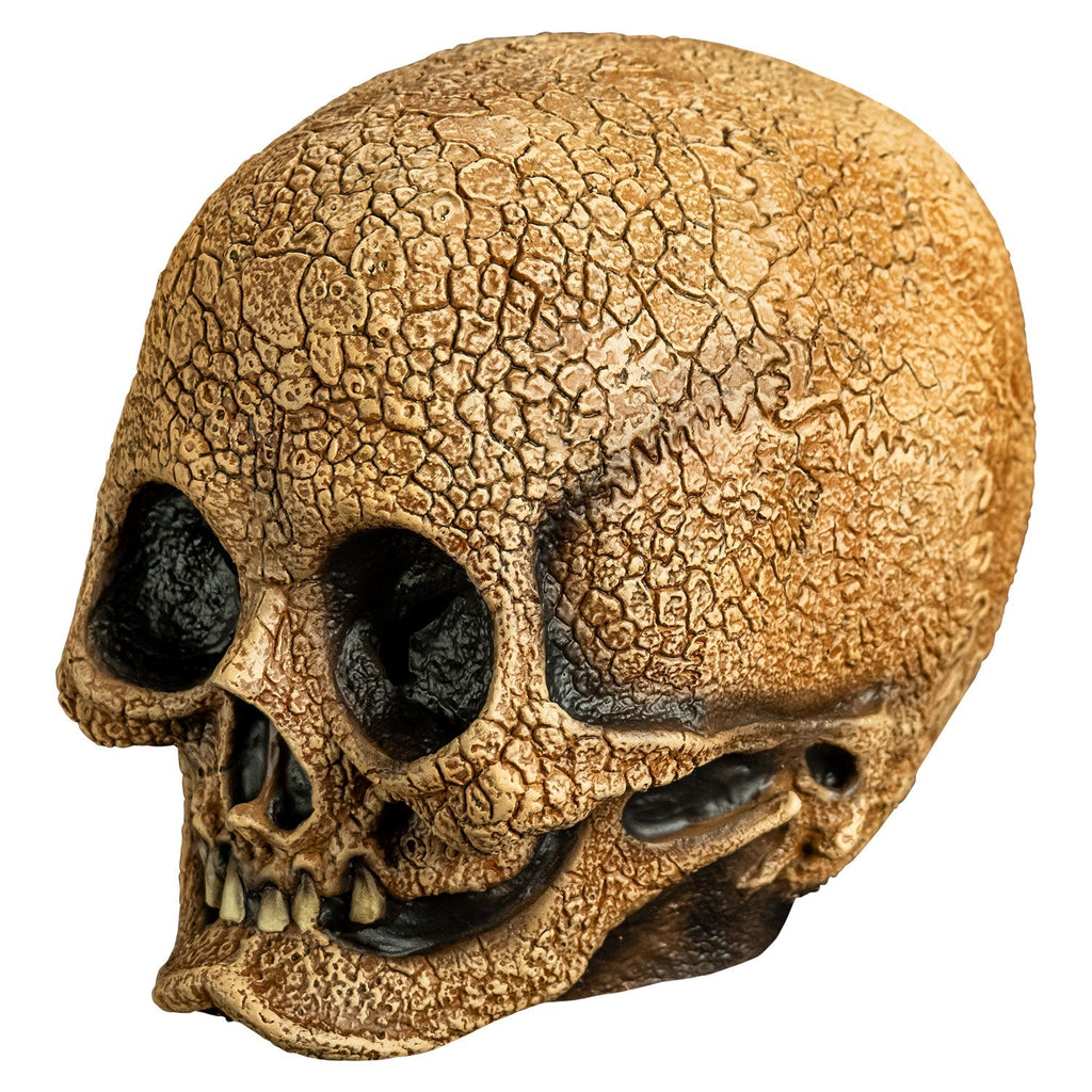 Illusive Concepts - Cranial Skull Mask product image 2, provided for visual reference and product detail review