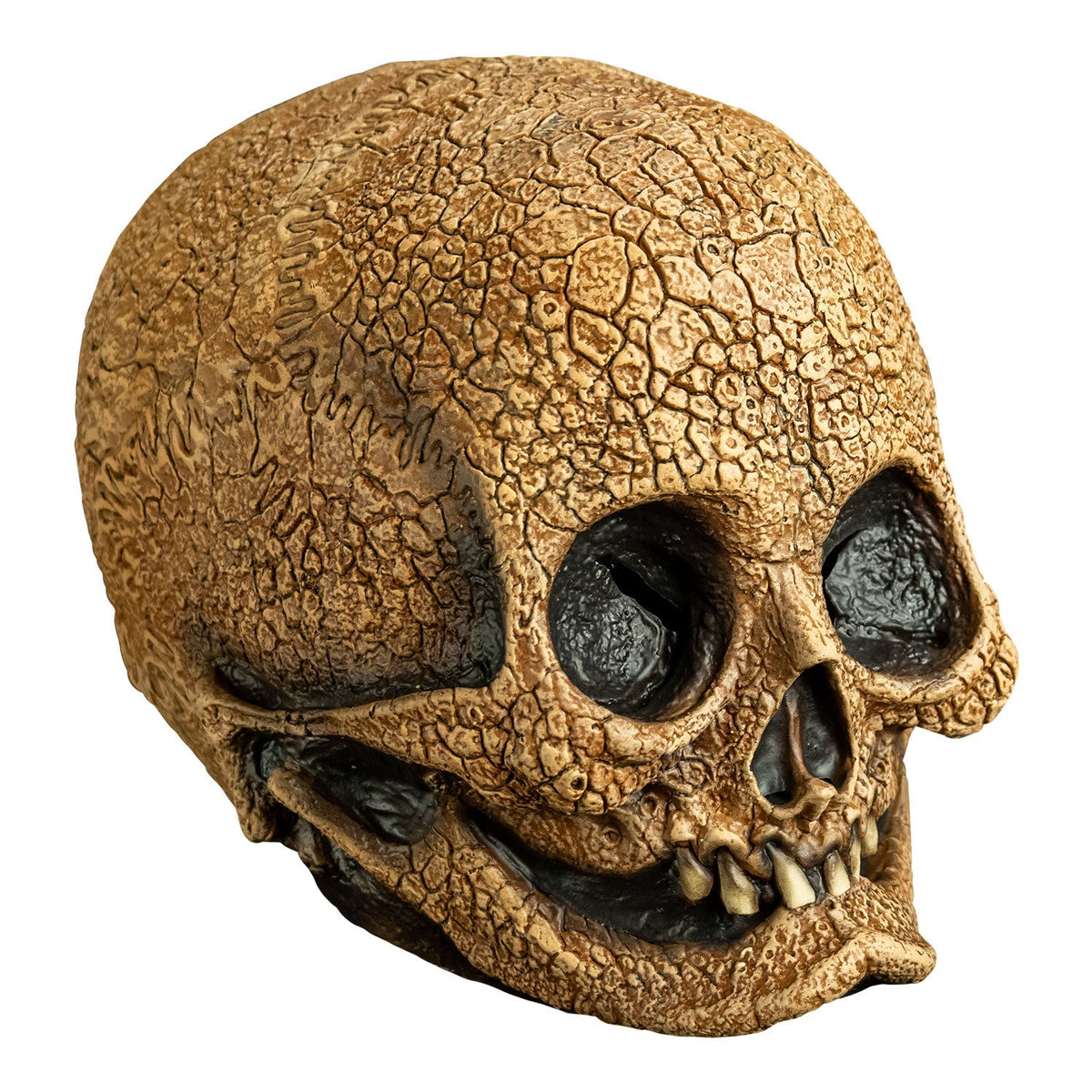 Illusive Concepts - Cranial Skull Mask product image 3, provided for visual reference and product detail review