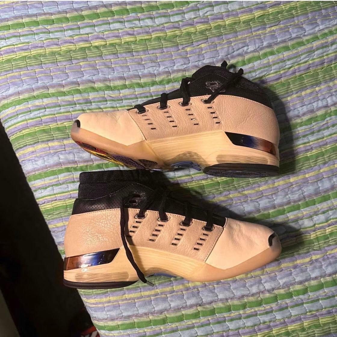 Air Jordan 17 Retro Low SP Infinite Archives product image 3, provided for visual reference and product detail review