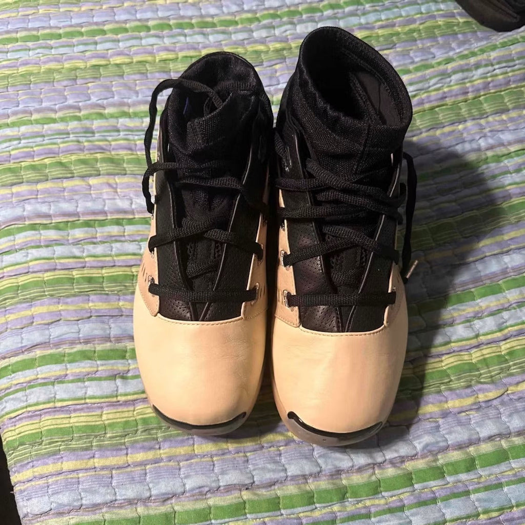 Air Jordan 17 Retro Low SP Infinite Archives product image 4, provided for visual reference and product detail review