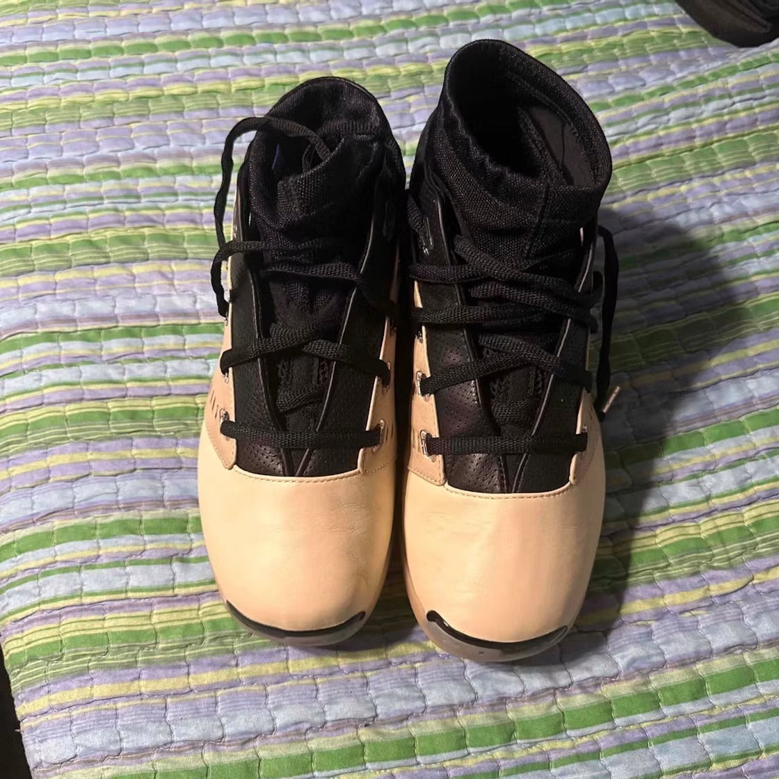 Air Jordan 17 Retro Low SP Infinite Archives product image 4, provided for visual reference and product detail review